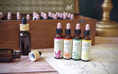 Les Fleurs de Bach : l’harmonie émotionnelle
