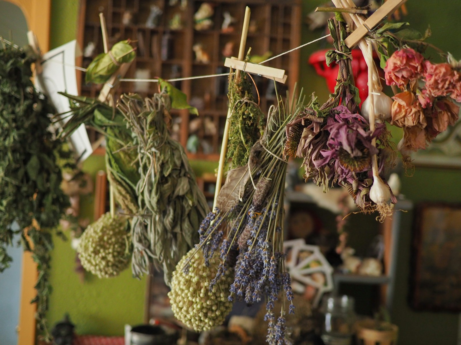 Photo by Griffin Quinn a bunch of flowers from a string