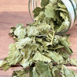 Cassis Bio