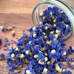 Bleuet Bio