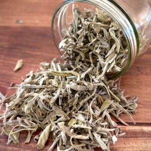 Sauge Officinale Bio