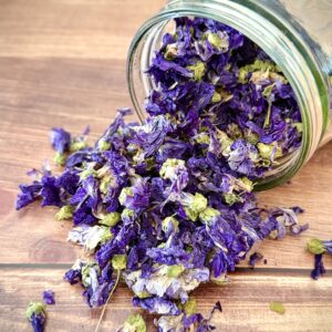 Mauve Bio