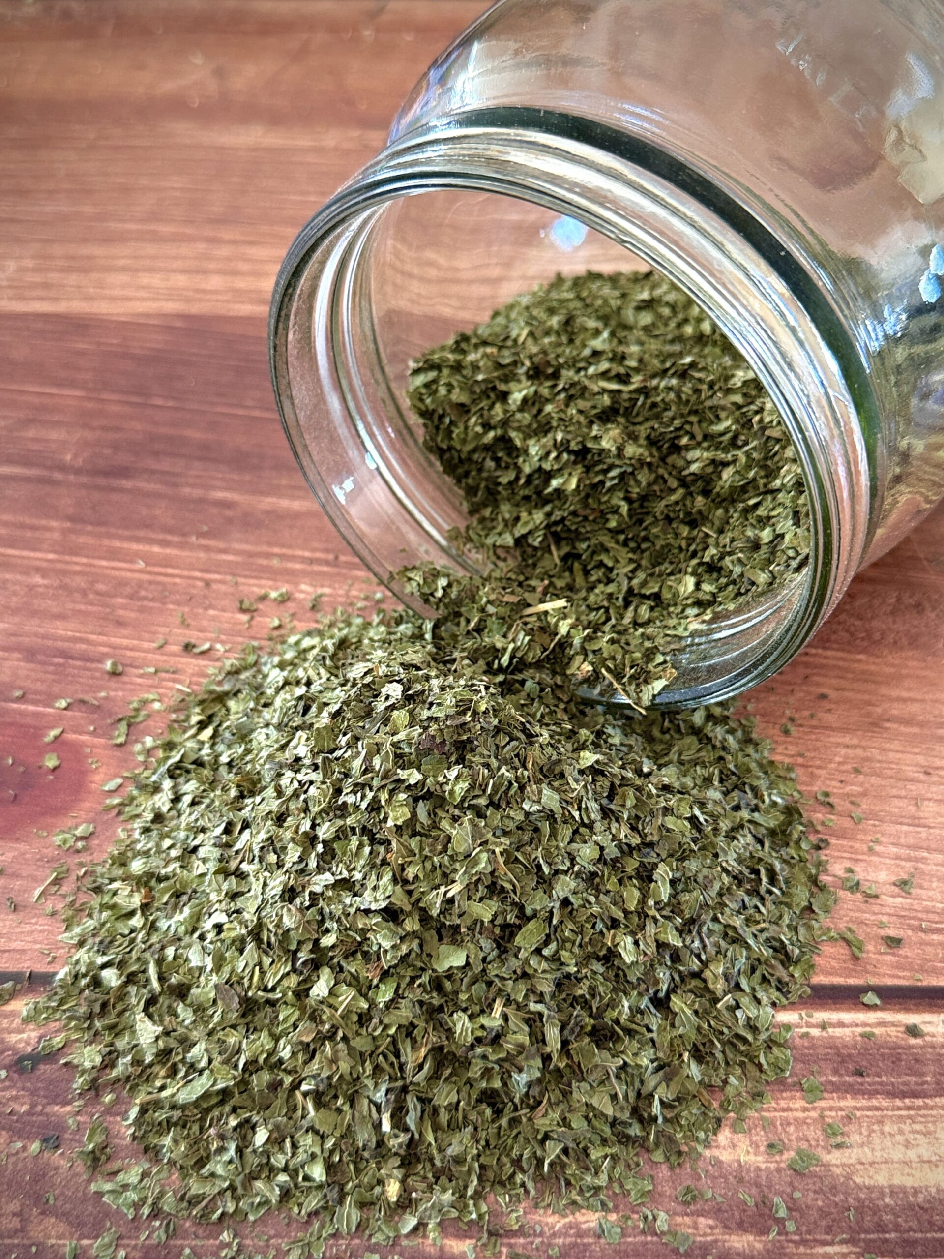 Menthe poivrée Bio