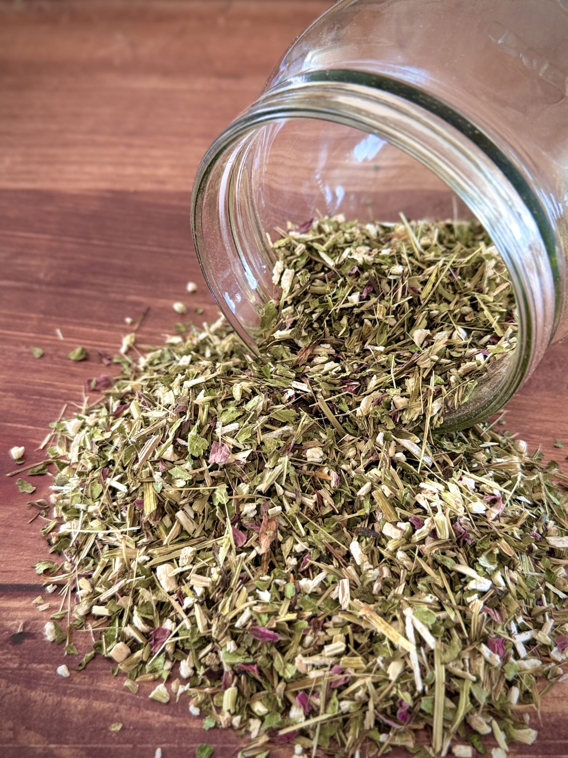 Echinacée Bio