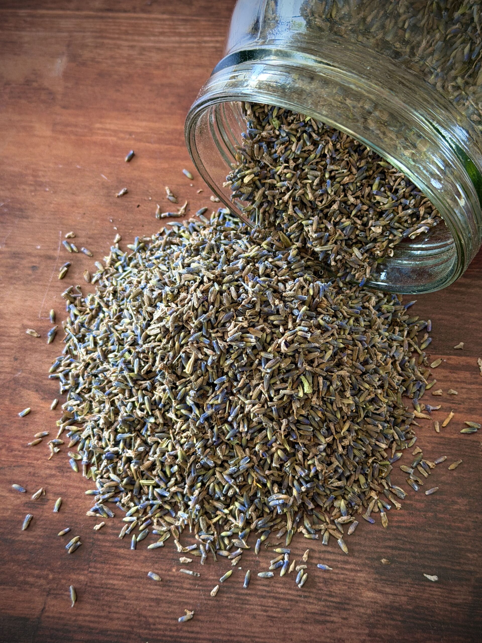 Lavande Bio