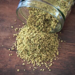 Sureau fleurs Bio