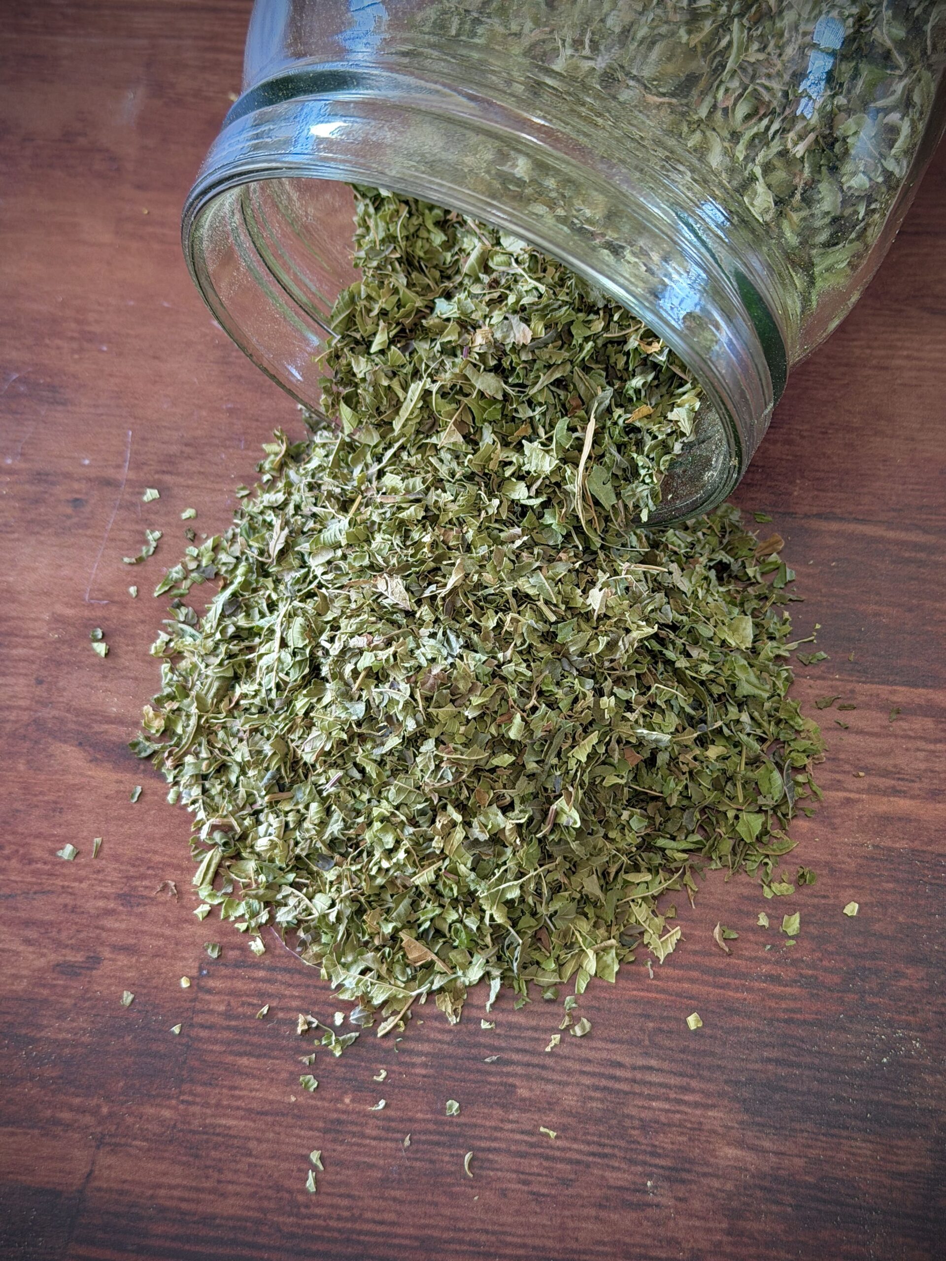 Verveine odorante Bio